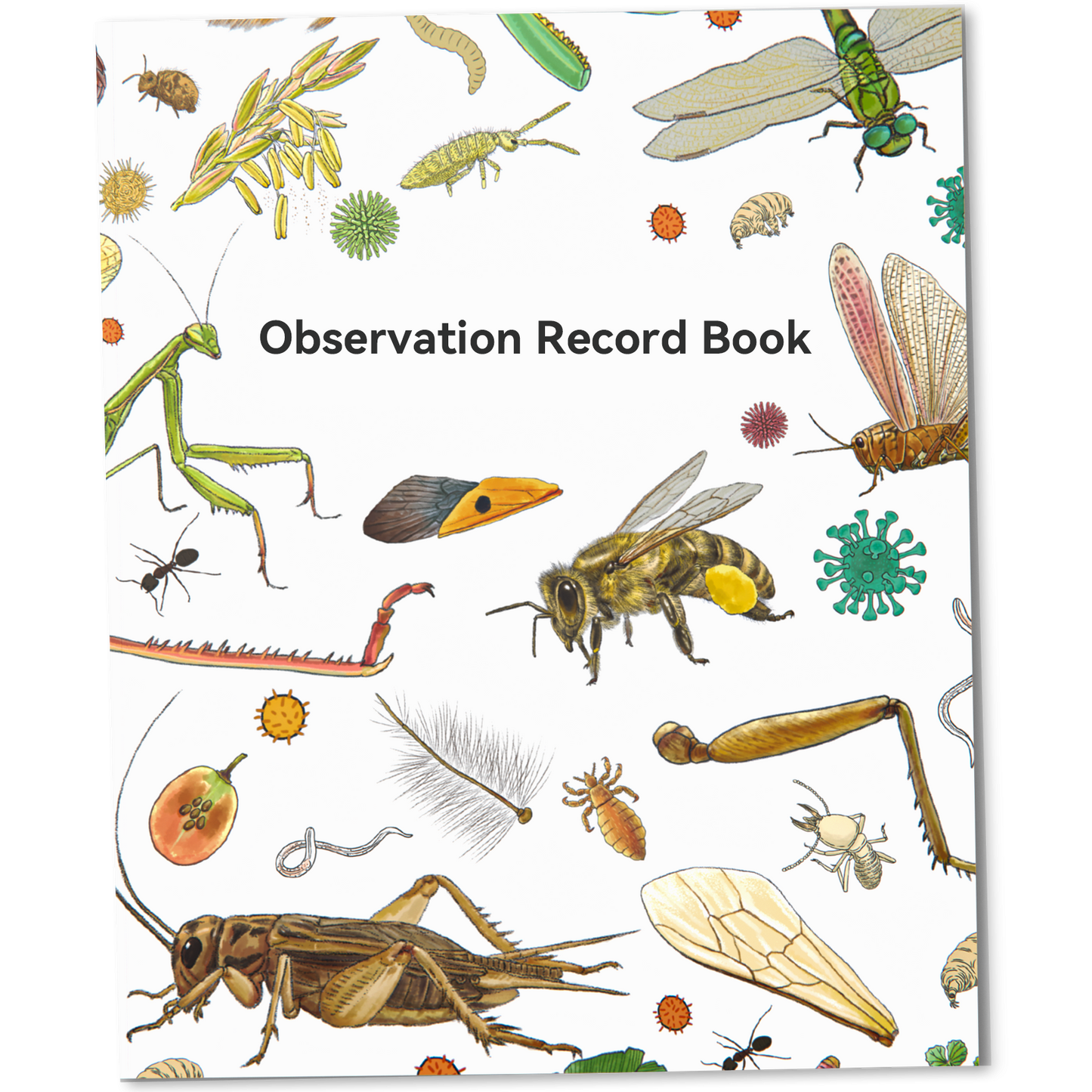 顯微鏡載玻片組