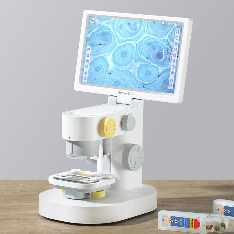 Best Digital Microscopes Collection | Beaverlab Tech – BEAVERLAB
