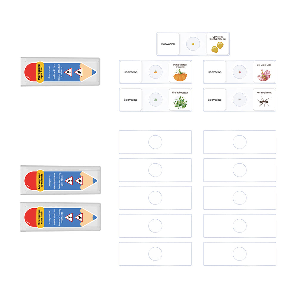 Microscope Slide Set