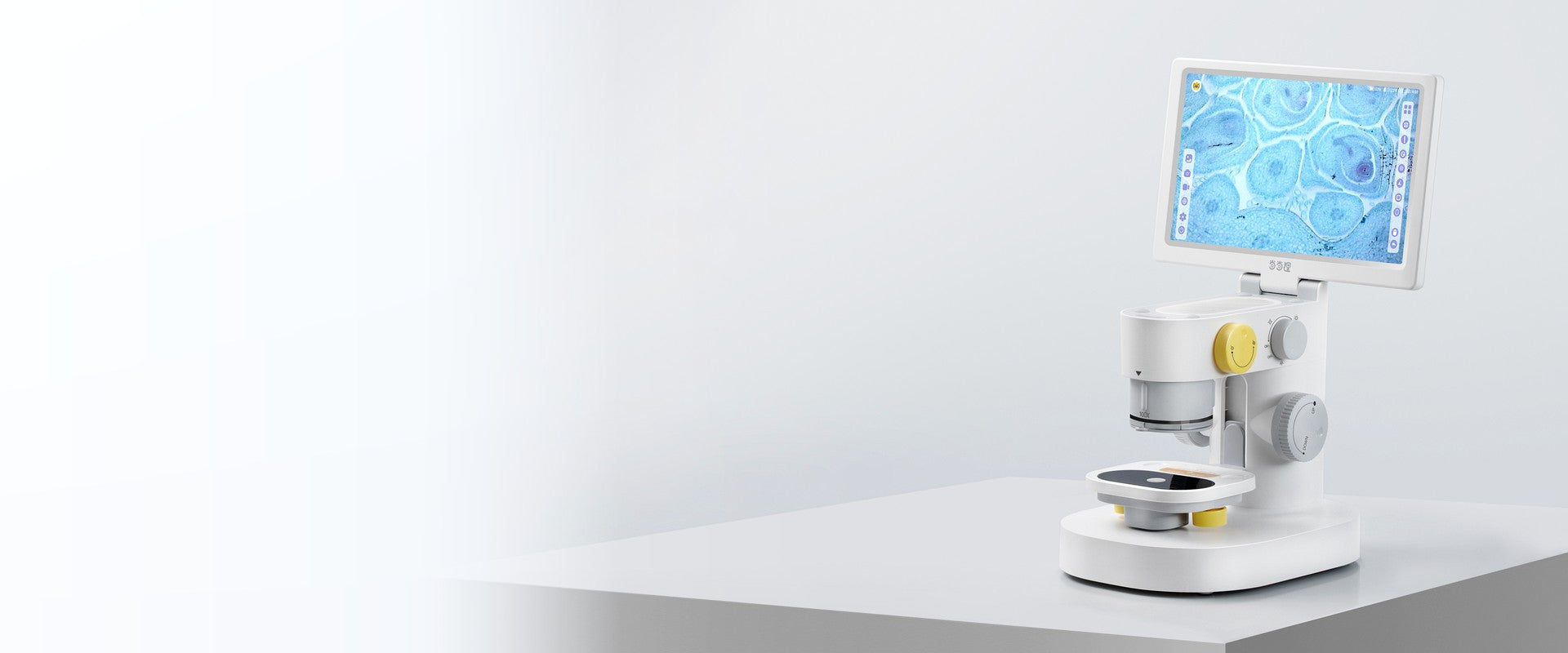 support center banner
